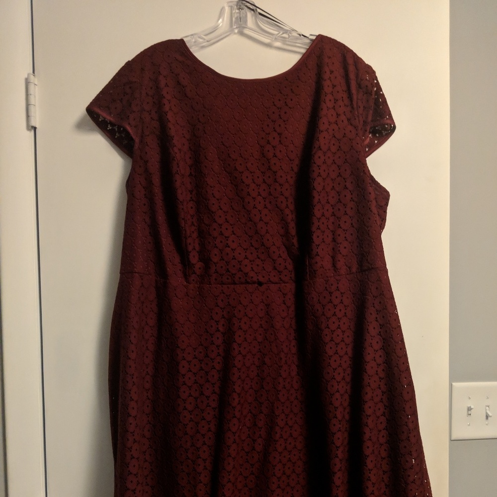 Dress barn knit lace dress
